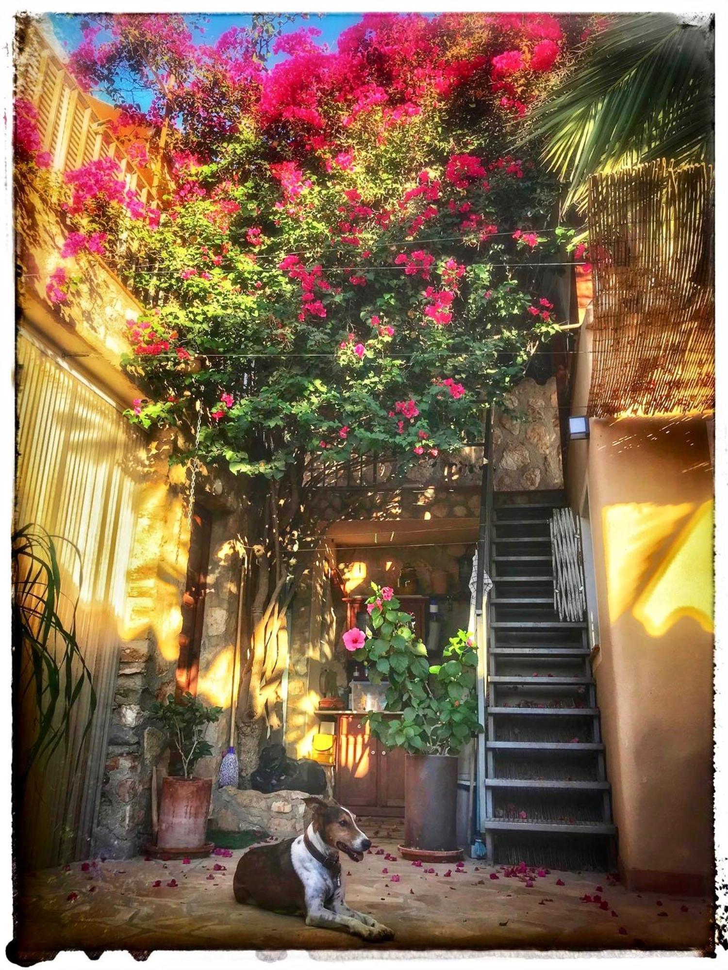 Dachterrassenzimmer In Romantischem Landhaus Mit Pool El Largo Esterno foto